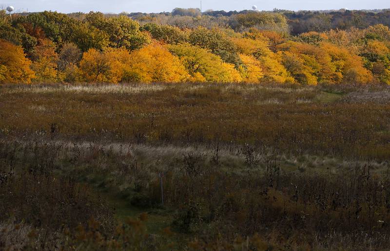 Fall colors line the prairie on Tuesday, Oct. 18, 2022, at the McHenry County Conservation District's Prairieview Education Center in Silver Creek Conservation Area. The center, located at 2112 Behan Road in Crystal Lake, has reopened, to the public on Tuesdays and Thursdays and to school groups, after being closed for since the beginning of the pandemic.
