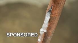 Protect Your Home from Frozen Pipes