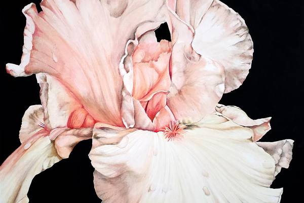 Blue Moon Gallery launches new art season