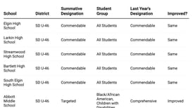 How did my Kane County school do on the 2024 Illinois School Report Card?