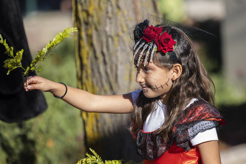 Dressed as “Day of the Dead,” Destiny Davis, 8, directs customers to a bucket of candy Saturday, Oct. 26, 2024, in Dixon.