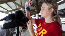 Photos: 2024 McHenry County Fair opens
