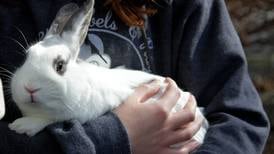 Oswego Bunny Hop to treat families to a day of fun