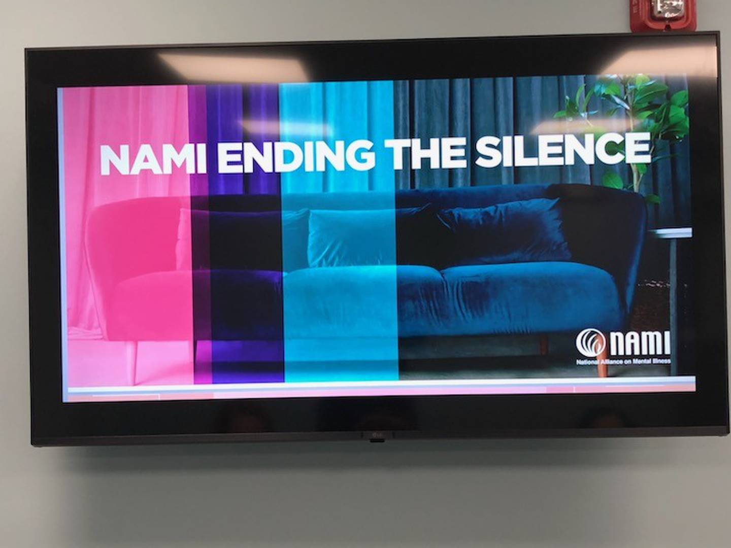 The Will-Grundy chapter of the National Alliance of Mental Illness is now offering NAMI’s “Ending the Silence” program to local schools.