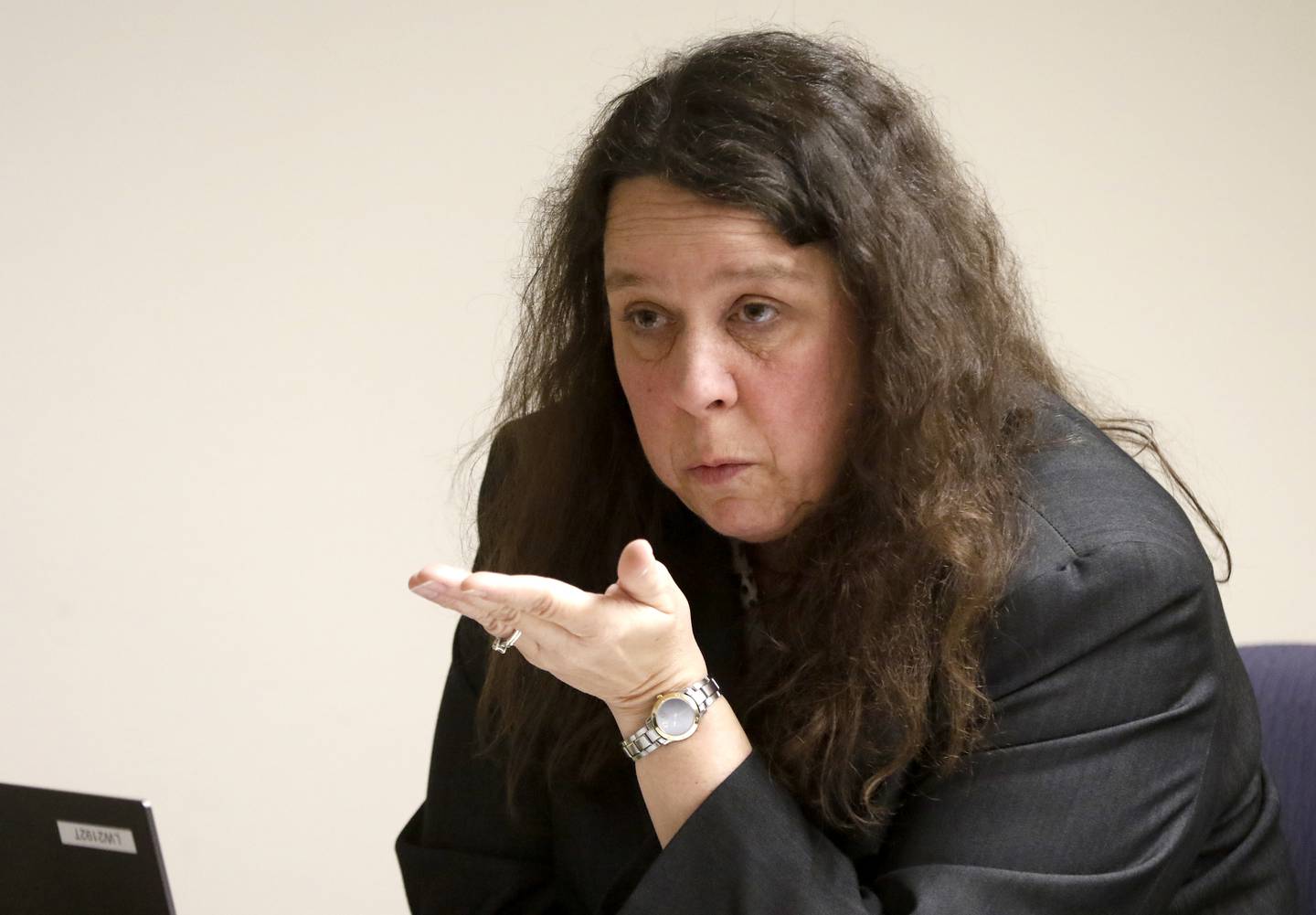 Lake County Assistant State's Attorney Lisle A. Stalter speaks during a hearing of the McHenry County Electoral Board on whether Tony Colatorti can remain on the ballot on Monday, March 28, 2022, at the McHenry County Administration Building in Woodstock. The hearing is the result of an objection filed the week prior by William Brogan and Joel Brumlik disputing Colatorti's qualifications to run for the position of McHenry County sheriff.