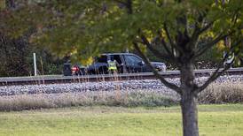 Dixon woman dies after being struck by train near Nelson