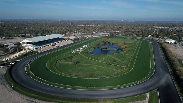 Chicago Bears reopen search for stadium location, including Northwest Indiana