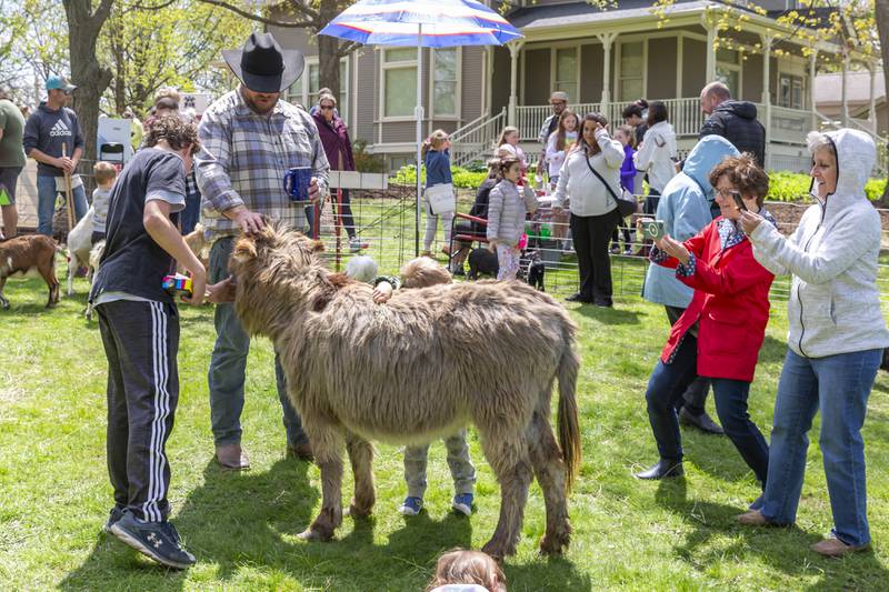 A father and son pose for pictures with a pony at the Downers Grove Park District Country in the Park on Saturday, May 3, 2025  in Downers Grove.