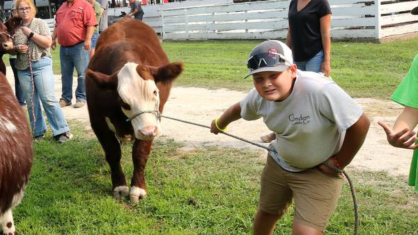 Photos: Daily Chronicle Photos of the Week for July 28 - Aug. 2