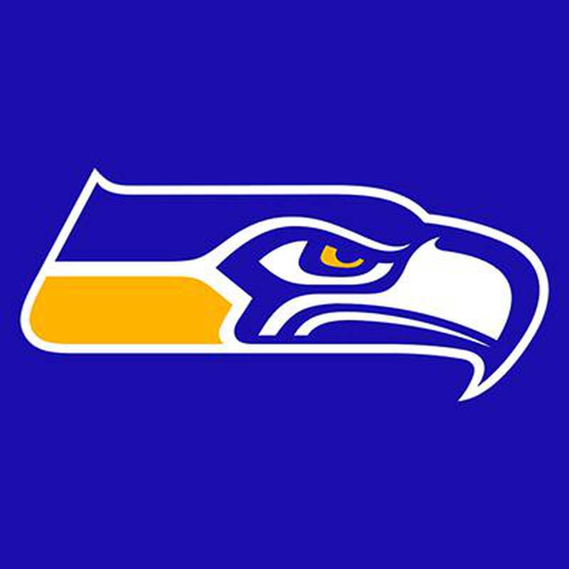 Johnsburg Skyhawks logo