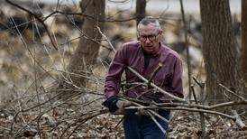 Will County forest preserves need volunteers for brush cleanup mornings