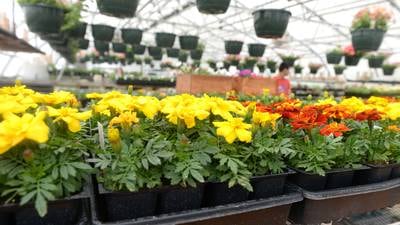 ‘Learn, Grow, Share’ Garden Planting Day set May 17 in Henry 