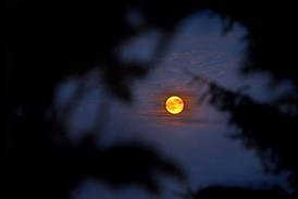 View full strawberry moon tonight at NIU’s Observatory in DeKalb