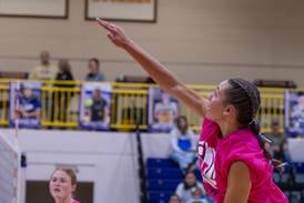 Newark tops Serena in 3-set thriller for Little 10 Tournament title