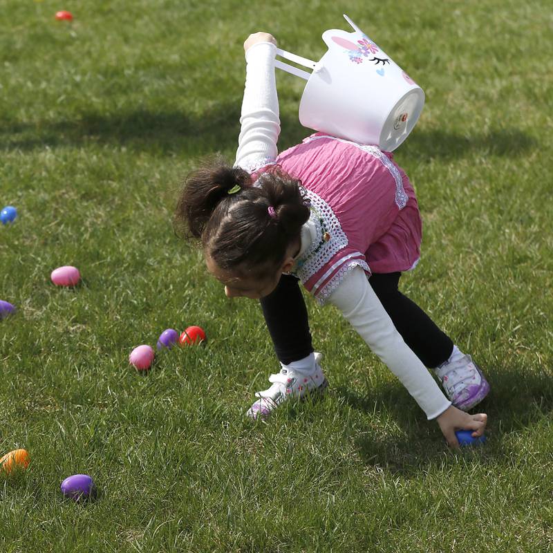 A girls picks up eggs on Saturday, April 19, 2025, during the Johnsburg Easter Egg Hunt at Sunnyside Memorial Park, in Johnsburg. Children hunted for 6,000 candy-filled eggs in three hunts divided by age group.