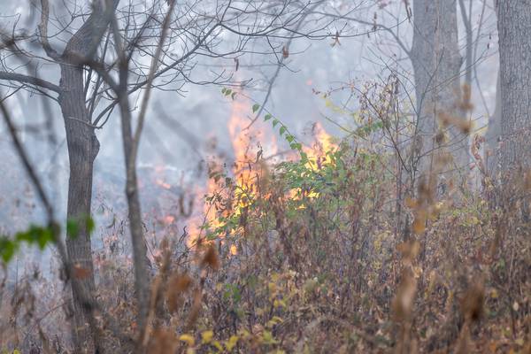 Twin fires in Utica send first-responders scrambling