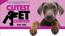 Kane County May Cutest Pet