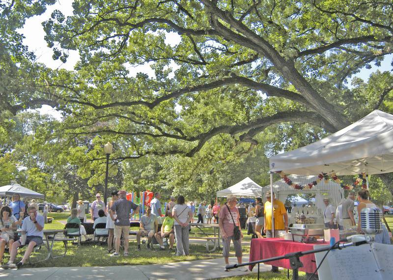 Vendors bring their wares to Nuts About Art in John Dixon Park on Saturday, July 5, 2025.