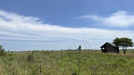 Will County forest district earns honors for Lockport prairie restoration
