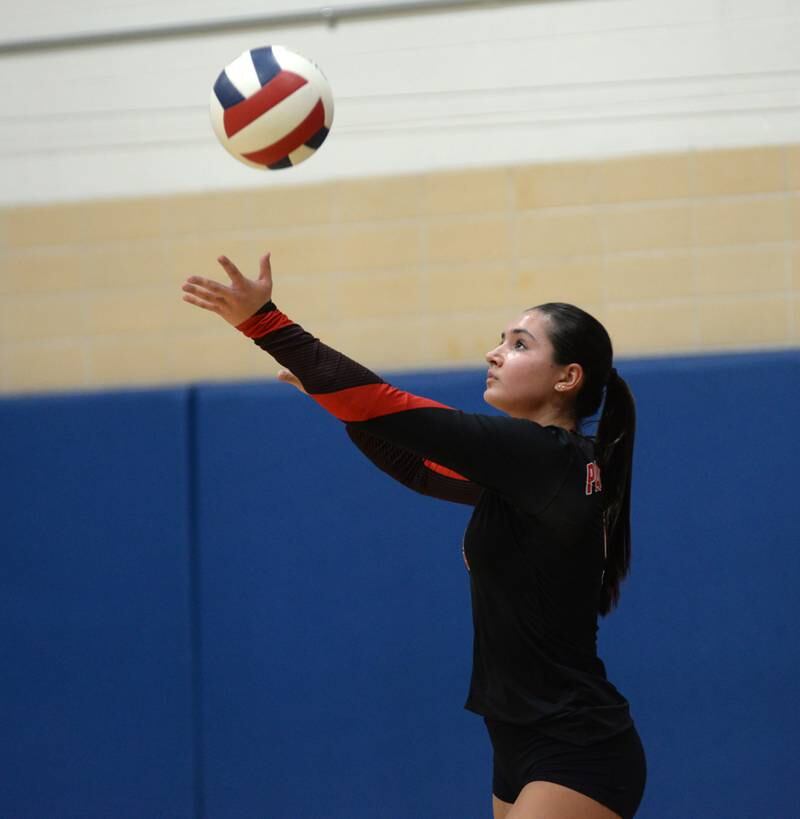 Erie-Prophetstown's Ashlyn Johnson (9) serves during the championship of the 2A Sterling Newman Regional on Thursday, Oct. 31, 2024.