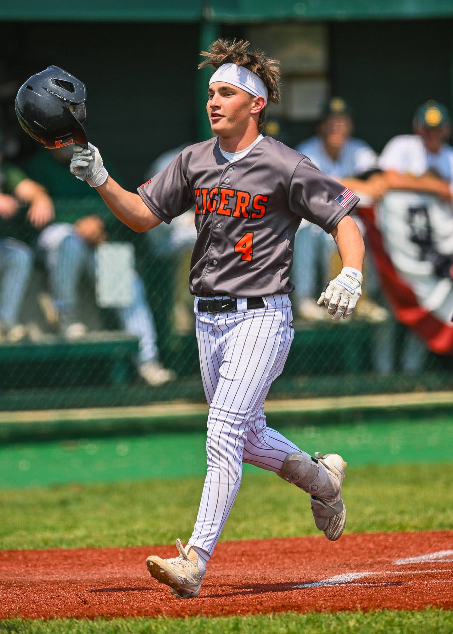 IHSA Class 3A Crystal Lake South Regional Championship
