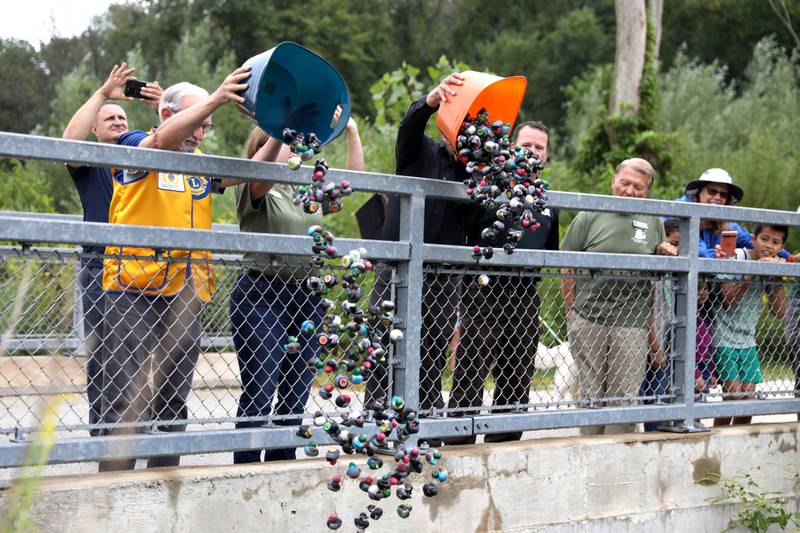 Marty Keller (left), past president of the Wheaton Lions Club, and Milton Township Supervisor John Monino dump over 200 rubber ducks into a restored stretch of Spring Brook at St. James Farm Forest Preserve in Warrenville on Thursday, Sept. 7, 2023 during the Friends of the Forest Preserve District of DuPage County’s rubber duck in a race fundraiser.