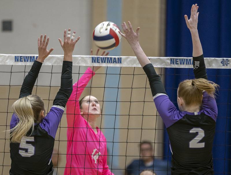 Newman’s Ruby Burger smacks the ball against Dixon Thursday, Oct. 3, 2024, at Newman High School.