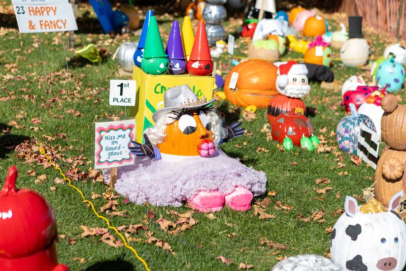Pumpkin contest entries at the Sycamore Pumpkin Festival on Sunday Oct. 26,2025 in Sycamore.