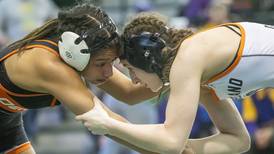 IHSA Girls Wrestling State Tournament: Daily Chronicle team-by-team previews 