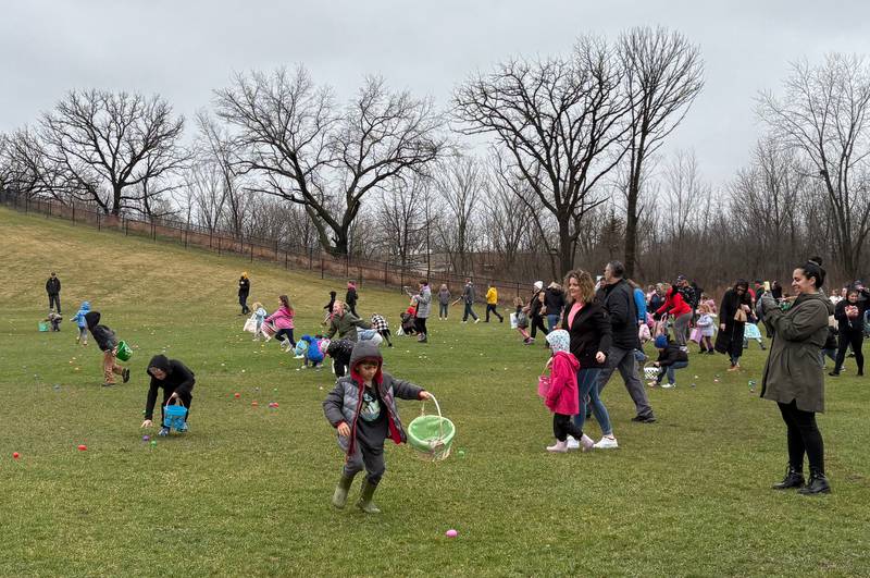 Kids search for eggs at the Johnsburg Easter Egg Hunt at Sunnyside Memorial Park, Saturday, April 4, 2026.