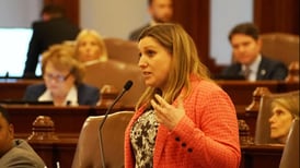Bills addressing cannabis odor in vehicle, safe gun storage pass Senate