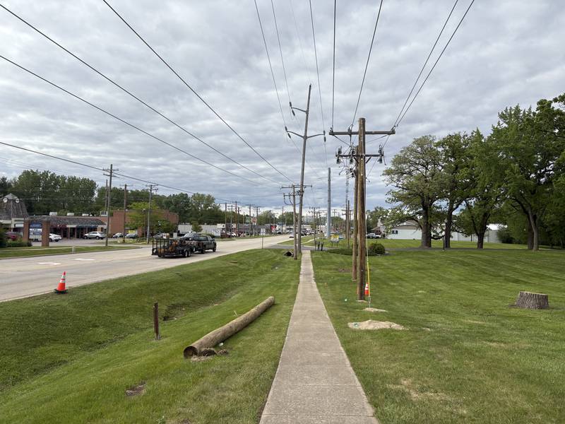 A log and a cone pictured along Route 47 in Woodstock May 22, 2025.