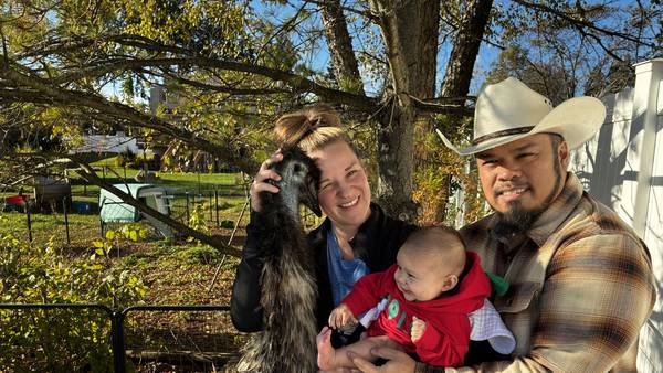 Couple gives up fight to keep emus in McHenry, will relocate