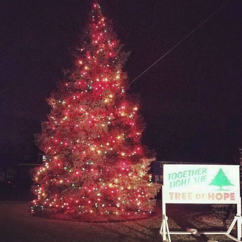 Horizon House’s Tree of Hope in Peru is fully lit.