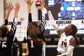 Daily Chronicle 2025 All-Area Volleyball Team