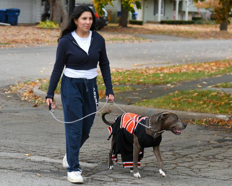 Mia Zapped walks her 4-year-old dog Daisy, who wears a DeKalb High School Barbs cheerleading outfit for Halloween on Thursday, Oct. 31, 2024, in DeKalb.