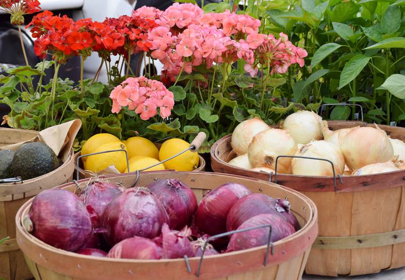 Photos DeKalb Farmers Market opens for season Shaw Local