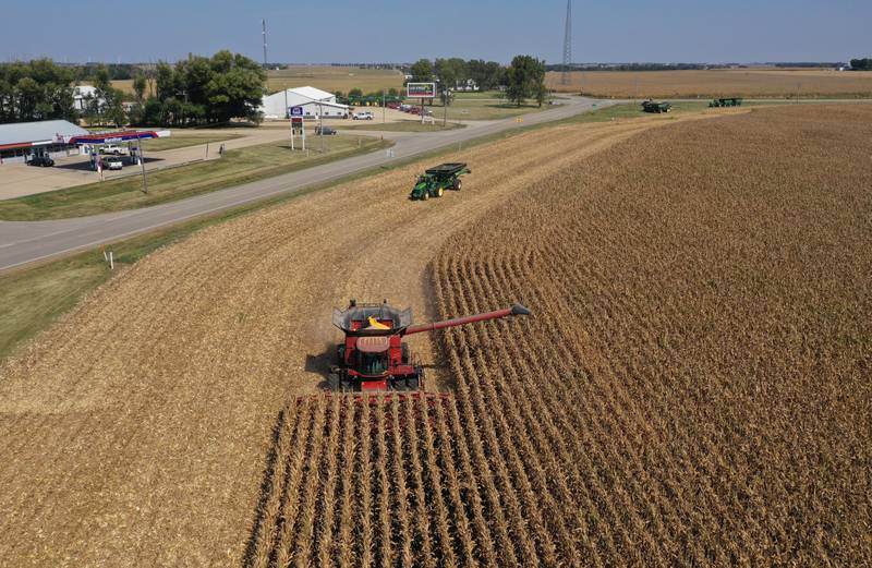 Dennis Faber harvests corn for Stauffer Farms near the intersection of Illinois Route 92 and Route 34 on Tuesday, Sept. 17, 2024 in La Moille.