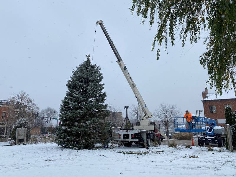 The Christmas tree, donated by Adam and Holly Clark, goes up in the Jordan block. Mayor Dan Aussem said Conroy's Towing brought the tree down to the Jordan block and Larry the Tree Guy helped guy cut it down. City crews worked through the snow Tuesday morning to get the tree stood up, straightened out and ready for decorations and lights.