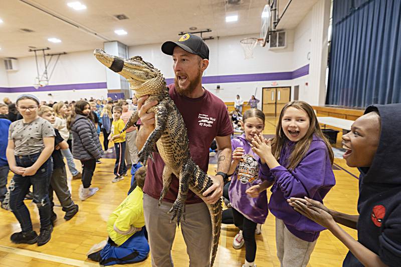 Jeremy Taulbee walks through the students at Madison School in Dixon, allowing them to touch Prada, an American alligator, Friday, March 22, 2024, in Dixon. Taulbee was invited to bring his show "The Traveling World of Reptiles" to the school as a celebration before the start of spring break.