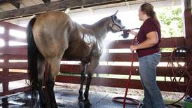 Range of activities part of Lee County 4-H Fair and Jr. Show’s appeal