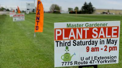 Start your growing season with the annual Kendall County Master Gardener plant sale May 21