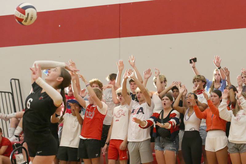 Hall's Kaitlyn Coutts serves the ball as super fans cheer behind during the game against Mendota on Tuesday, Sept. 13, 2024 at Hall High School.