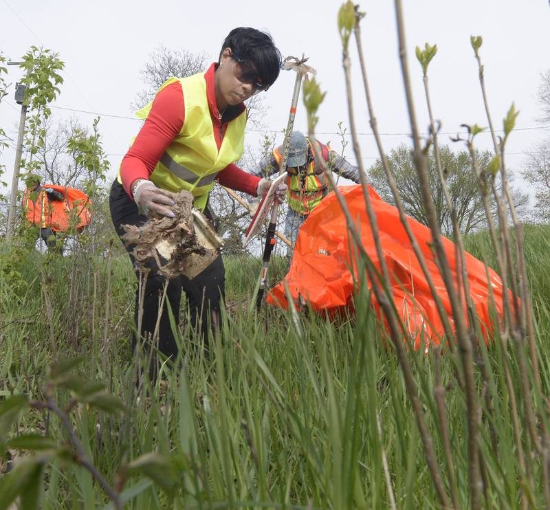 Getting into the weeds, Char Gaega was one of the many volunteers picking up trash along RT 6 west of Ottawa Monday during Operation Clean Sweep celebrating Earth Day.