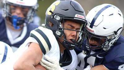 Photos: Cary-Grove vs. Sycamore, Class 5A first-round playoff football 