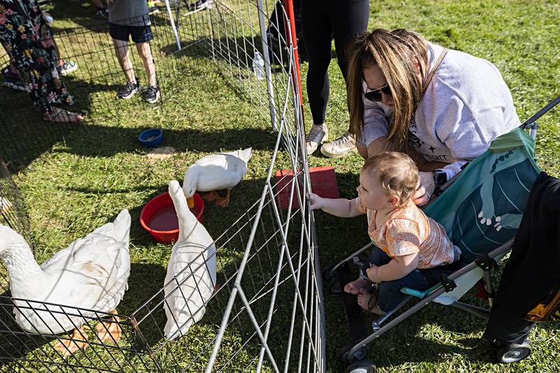 Riverland Holloway, 10 months, and mom Baylee of Prophetstown check out the ducks from Miller’s Petting Zoo Saturday, Sept. 30, 2023 at the Pumpkin Dash.