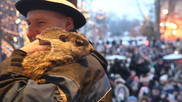 Groundhog Day: A day in the life of Woodstock Willie