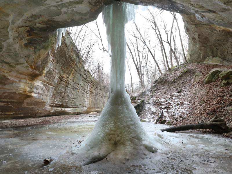 5 Things to Do: Take a First Day Hike, Wildlife Trolley Tours, wedding expo and more