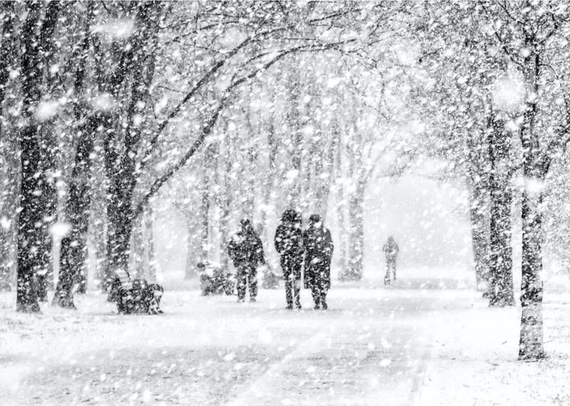 Snowfall