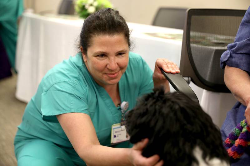 Registered Nurse April Weydert visits with Portuguese water dog Wesley as part of National Nurses Week festivities at Northwestern Medicine Delnor Hospital in Geneva on Wednesday, May 10, 2023.